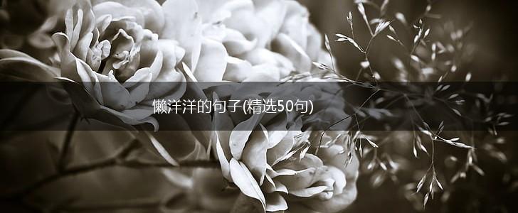 懒洋洋的句子(精选50句),第1张