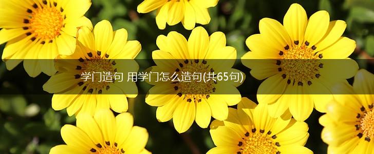 学门造句 用学门怎么造句(共65句),第1张