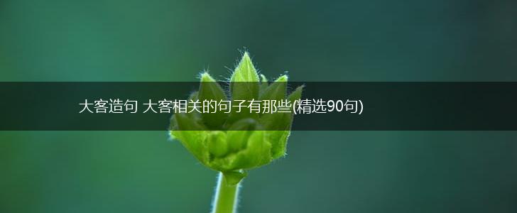 大客造句 大客相关的句子有那些(精选90句),第1张