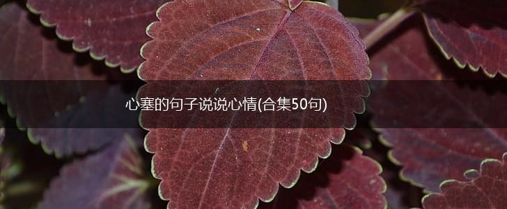 心塞的句子说说心情(合集50句),第1张