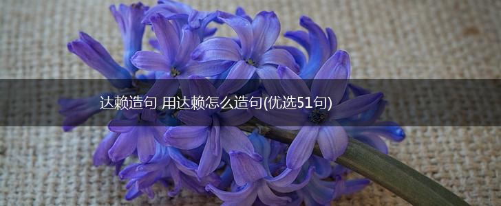 达赖造句 用达赖怎么造句(优选51句),第1张