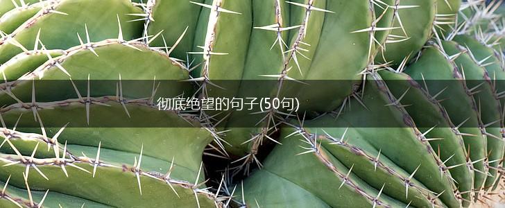 彻底绝望的句子(50句),第1张