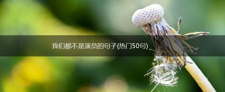 我们都不是演员的句子(热门50句),第1张
