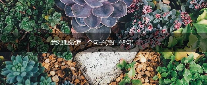 我她他爱造一个句子(热门48句),第1张