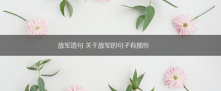 敌军造句 关于敌军的句子有那些,第1张