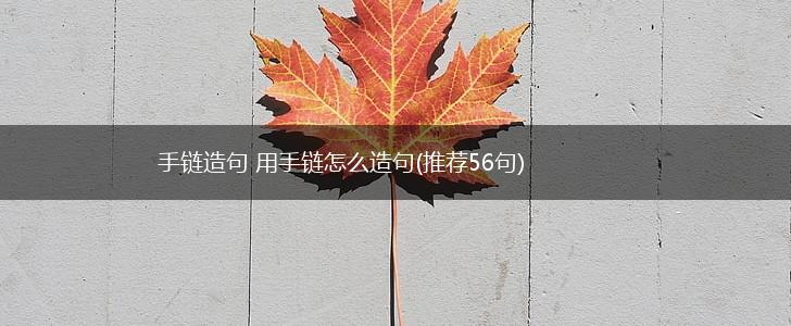 手链造句 用手链怎么造句(推荐56句),第1张