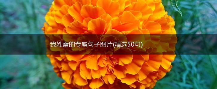 我姓雷的专属句子图片(精选50句),第1张