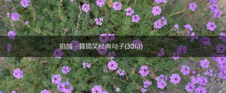 掐指一算搞笑经典句子(30句),第1张