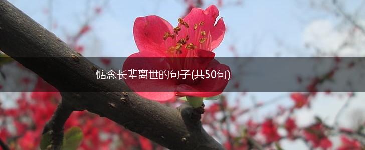 惦念长辈离世的句子(共50句),第1张