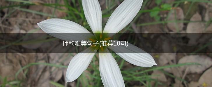 押韵唯美句子(推荐10句),第1张