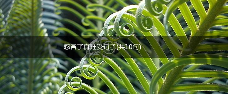 感冒了真难受句子(共10句),第1张