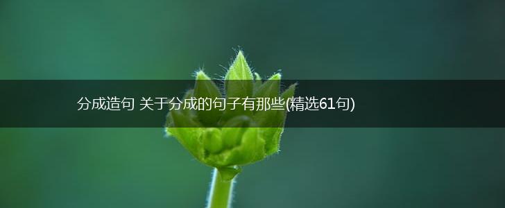 分成造句 关于分成的句子有那些(精选61句),第1张