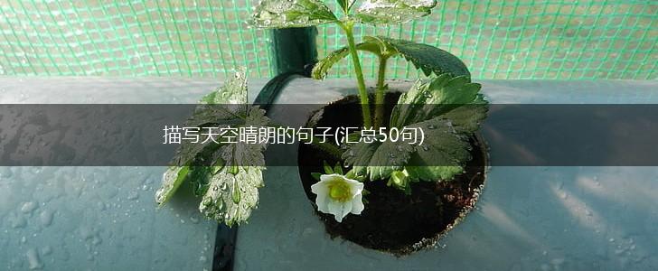 描写天空晴朗的句子(汇总50句),第1张