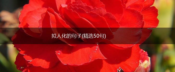 拟人化的句子(精选50句),第1张