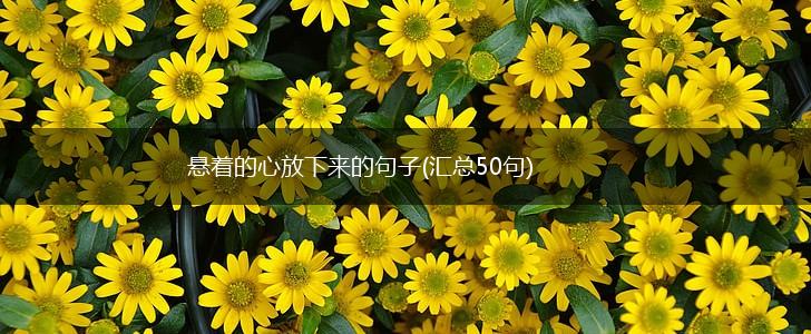 悬着的心放下来的句子(汇总50句),第1张