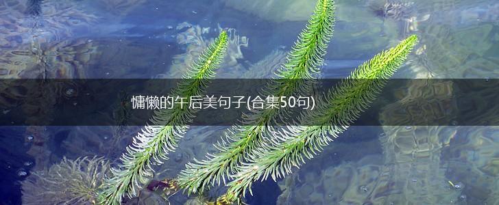 慵懒的午后美句子(合集50句),第1张
