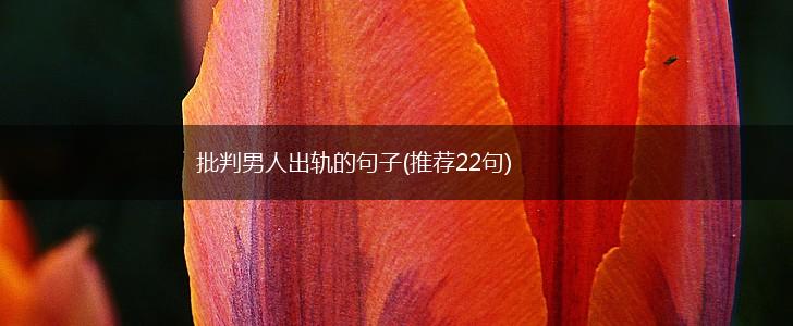 批判男人出轨的句子(推荐22句),第1张