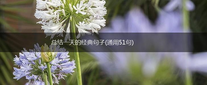 总结一天的经典句子(通用51句),第1张