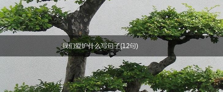 我们爱护什么写句子(12句),第1张