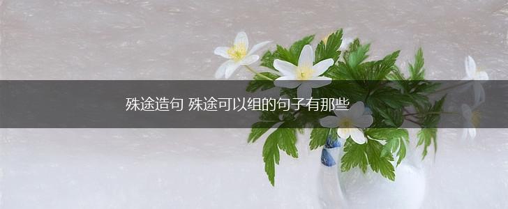 殊途造句 殊途可以组的句子有那些,第1张