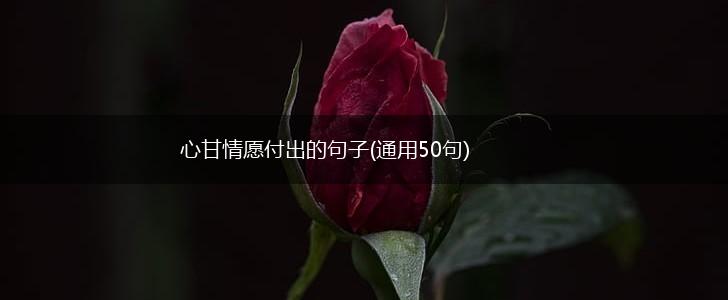 心甘情愿付出的句子(通用50句),第1张