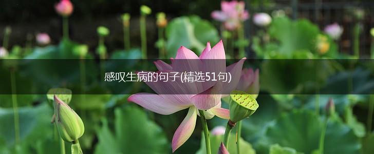 感叹生病的句子(精选51句),第1张