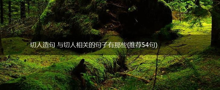 切人造句 与切人相关的句子有那些(推荐54句),第1张