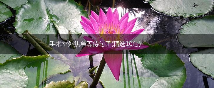 手术室外焦急等待句子(精选10句),第1张
