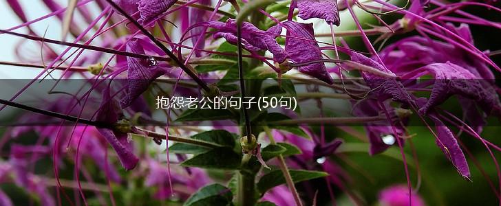 抱怨老公的句子(50句),第1张