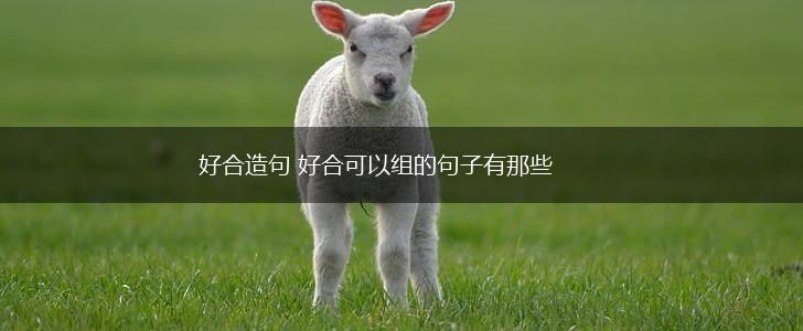 好合造句 好合可以组的句子有那些,第1张