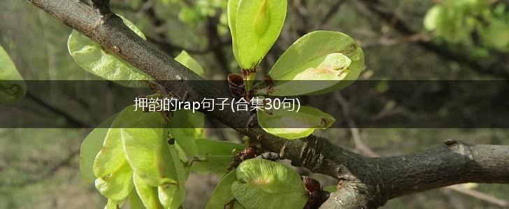 押韵的rap句子(合集30句),第1张