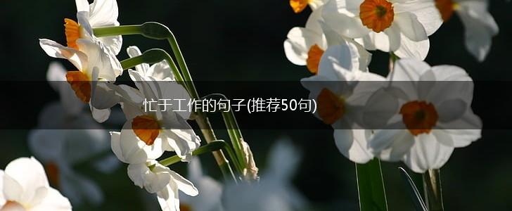 忙于工作的句子(推荐50句),第1张