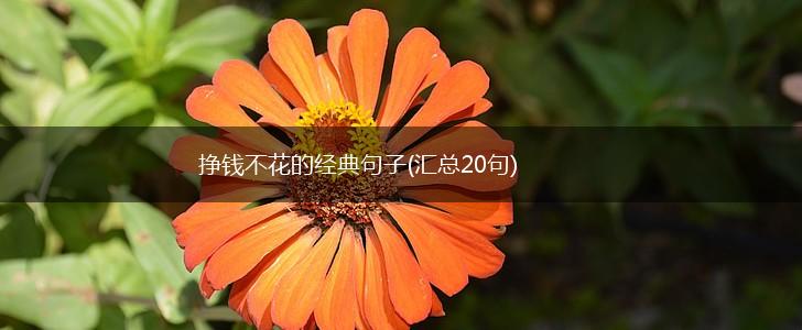 挣钱不花的经典句子(汇总20句),第1张