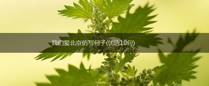 我们爱北京仿写句子(优选10句),第1张