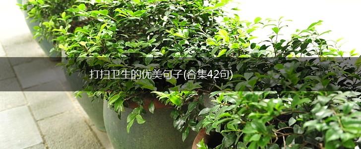 打扫卫生的优美句子(合集42句),第1张