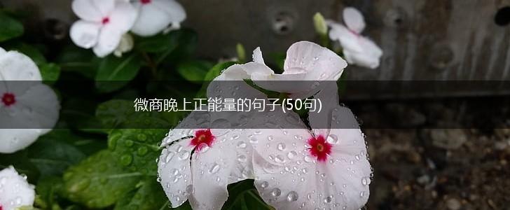 微商晚上正能量的句子(50句),第1张