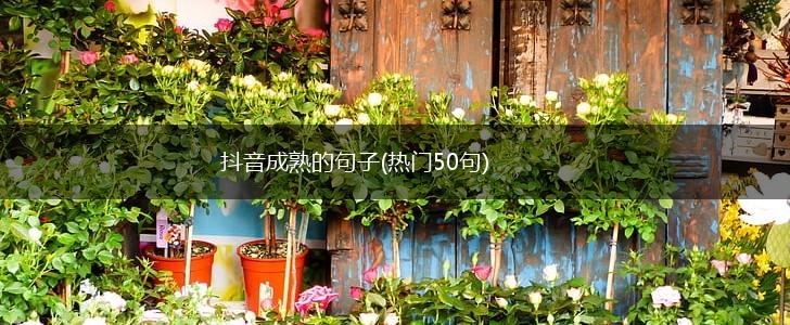 抖音成熟的句子(热门50句),第1张