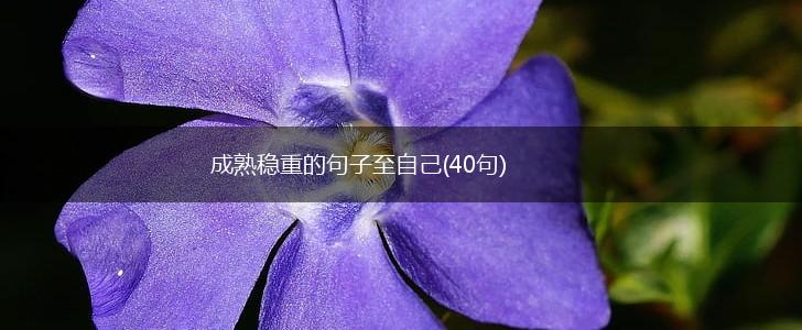成熟稳重的句子至自己(40句),第1张