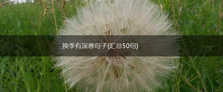 换季有深意句子(汇总50句),第1张