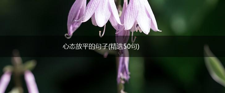 心态放平的句子(精选50句),第1张