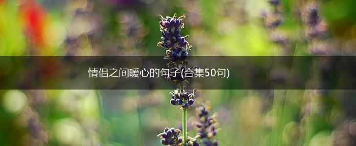 情侣之间暖心的句子(合集50句),第1张