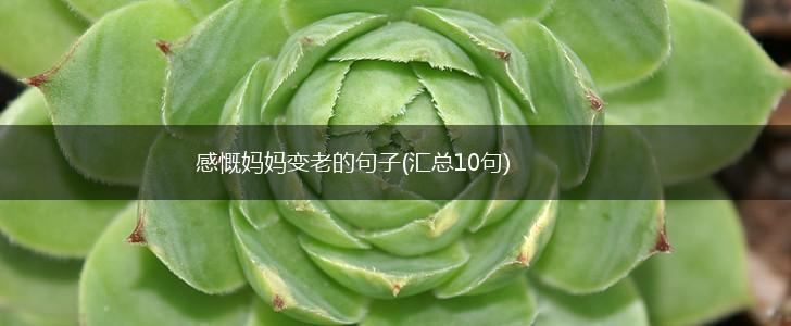 感慨妈妈变老的句子(汇总10句),第1张