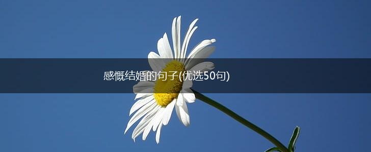 感慨结婚的句子(优选50句),第1张