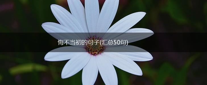 悔不当初的句子(汇总50句),第1张