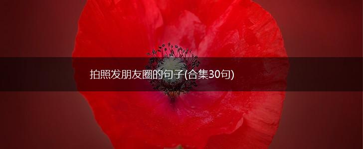 拍照发朋友圈的句子(合集30句),第1张