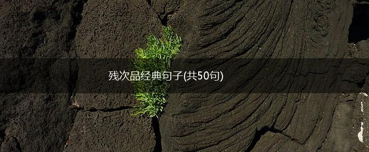 残次品经典句子(共50句),第1张