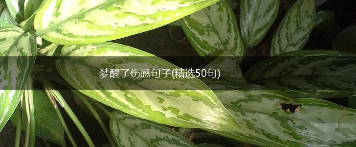 梦醒了伤感句子(精选50句),第1张