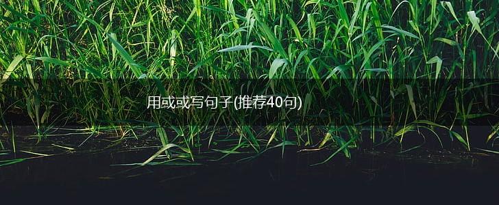 用或或写句子(推荐40句),第1张