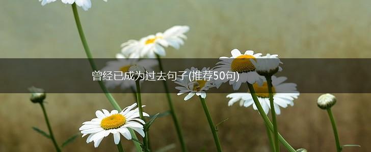 曾经已成为过去句子(推荐50句),第1张