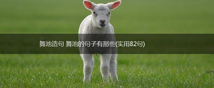 舞池造句 舞池的句子有那些(实用82句),第1张